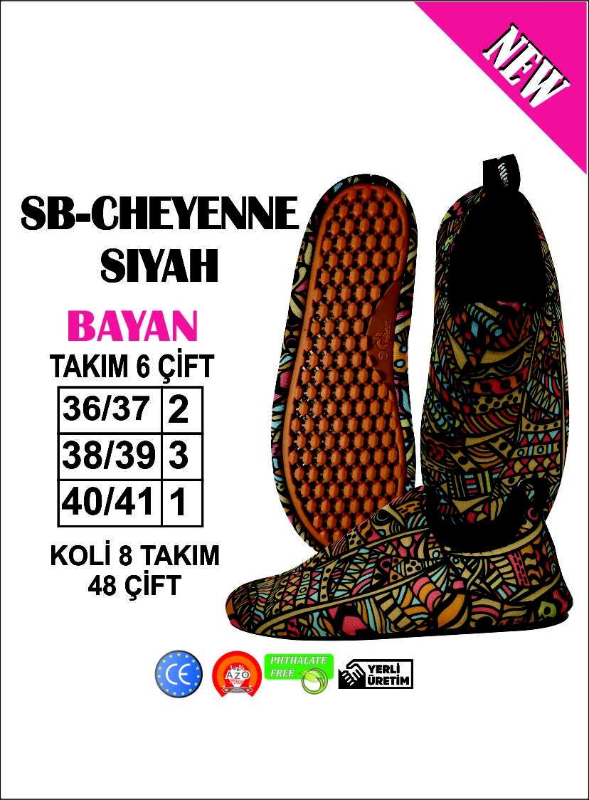 Profesyonel Deniz Ayakkabısı (T7765) - 1